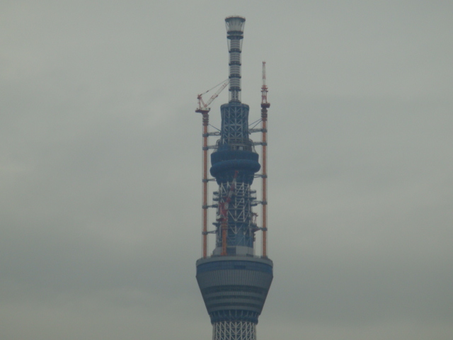 田（スカイツリー）
