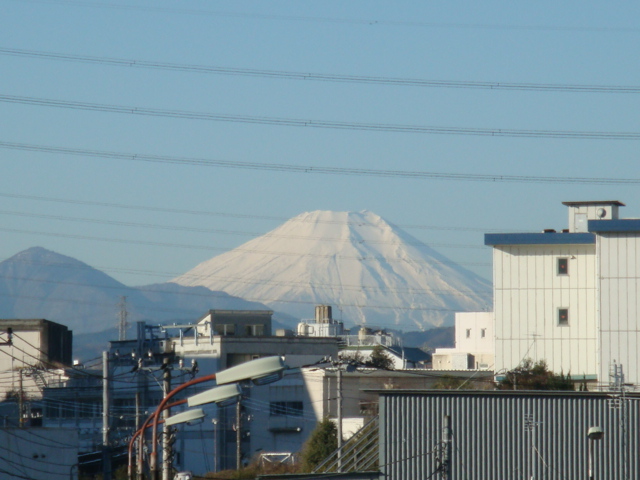 田吾作（富士山）