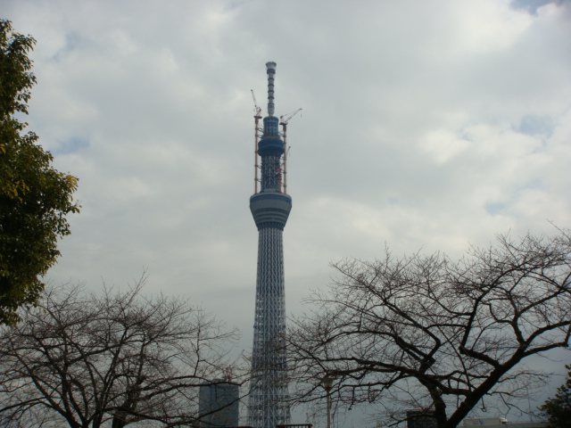 スカイツリー　隅田公園