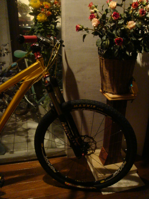 スペシャライズド