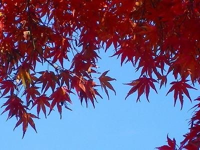 ブログ用画像 011.jpg