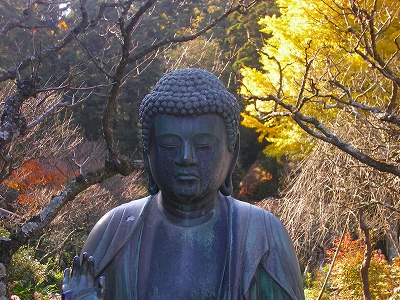 ブログ用画像 057.jpg