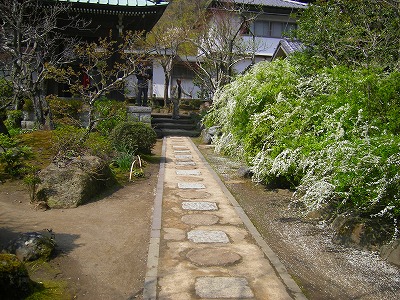 yukiyanagi