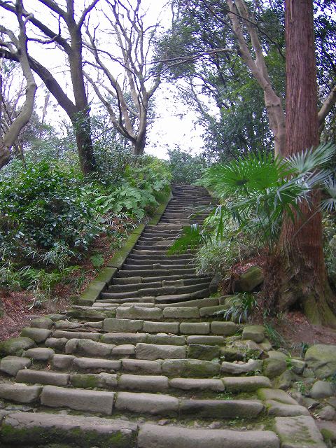 ブログ用画像 114.jpg