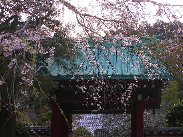 光則寺２