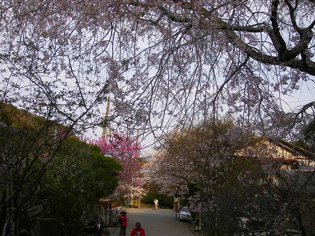 ブログ用画像 009.jpg