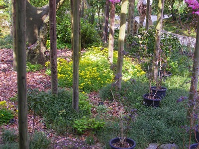 ブログ用画像 444.jpg