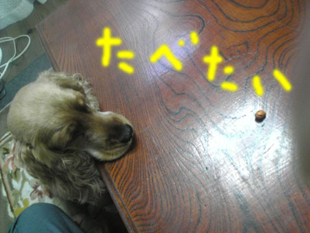 狙い撃ち2