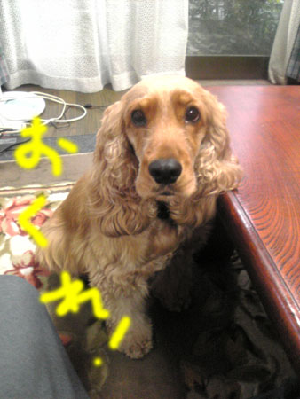 狙い撃ち3