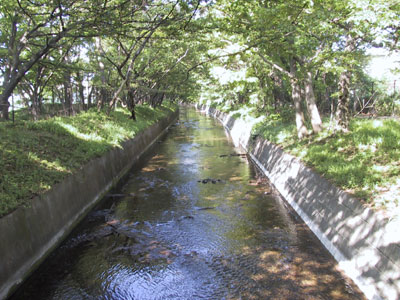 上水