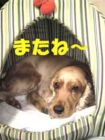 おうち