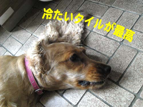 09.07.13.2ライサ