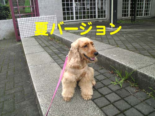 090629ライサ