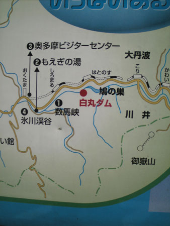 ここです