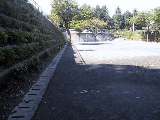 公園です