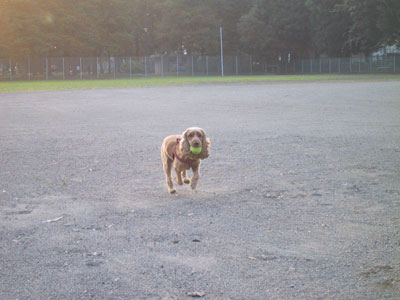 走るライサ・・