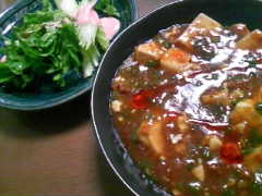 マーボ豆腐、セロリのサラダ