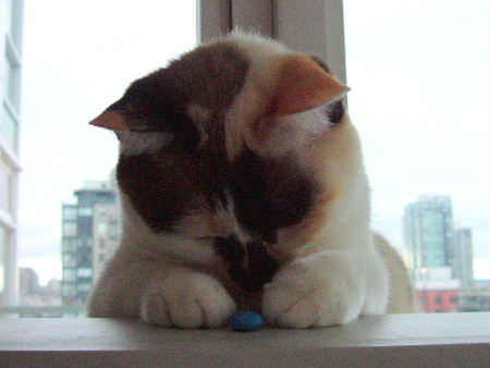 DSCF1038.JPG