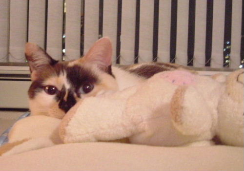 DSCF1268.JPG