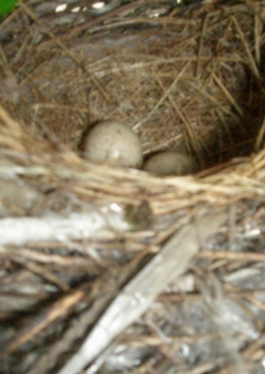 無事でした。その２