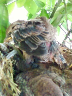 立てる　その２