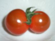 またもや双子です（１）