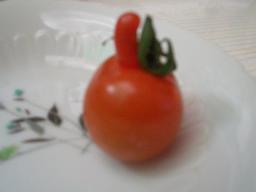 腕を上げてまーす