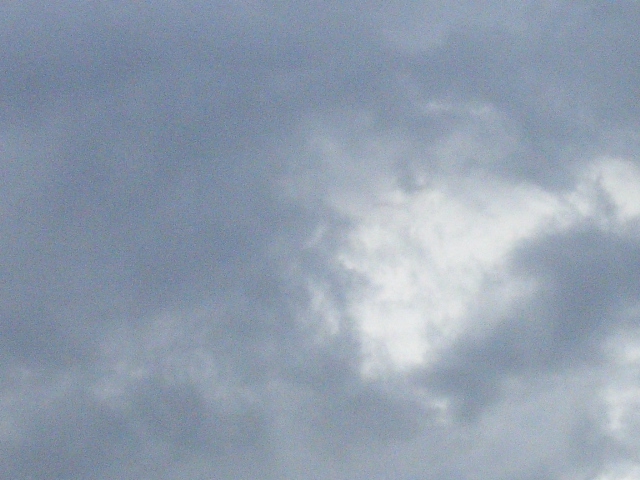 雷鳴がするけど？その２