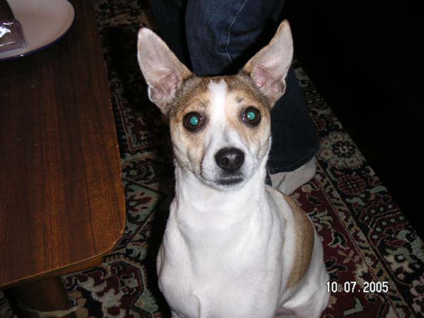 jenny