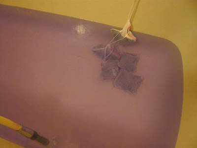 ゲルマ。。。(笑)