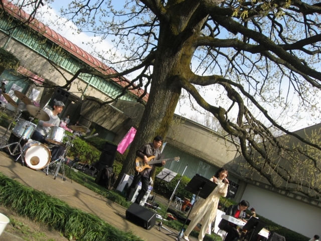 sakura2009