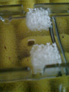 アップにしてみる