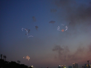 東京湾大華火(2007-2)