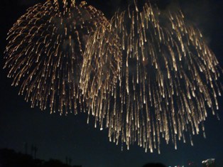 東京湾大華火(2007-5)
