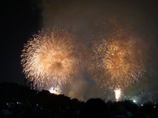 東京湾大華火(2007-6)