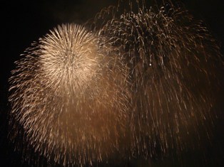 東京湾大華火(2007-7)