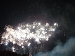 東京湾大華火(2007-8)