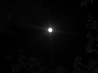 moon light