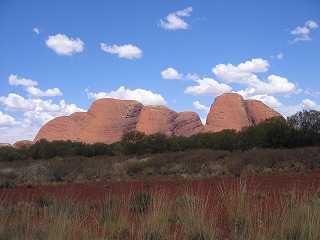 Olgas