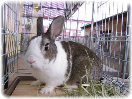 ☆大吉くん　引きショット(´艸｀)☆