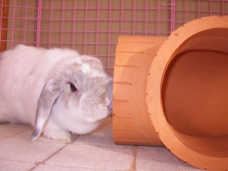 ☆土管調査１☆