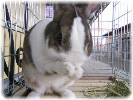 @LCLC#65515;#65513; @