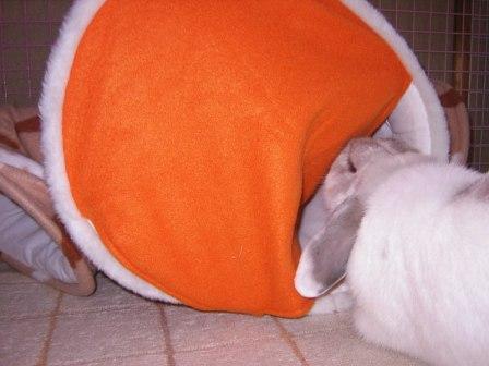 ☆ドラ１本目☆