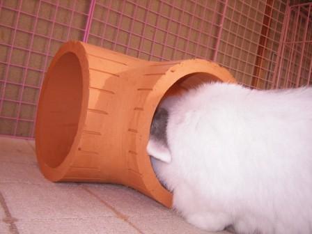 ☆土管調査２☆