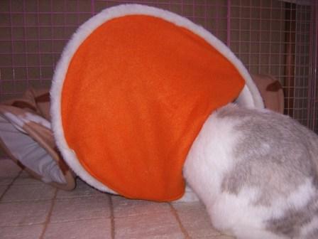 ☆ドラ２本目☆