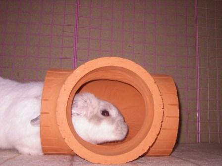 ☆土管調査３☆