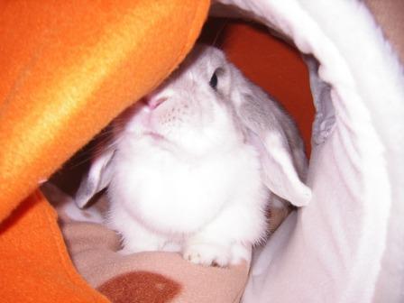 ☆ドラ４本目☆