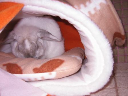 ☆ドラ５本目☆