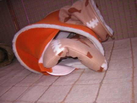 ☆ドラ６本目☆