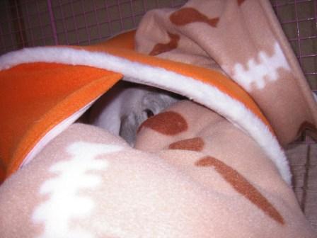 ☆ドラ７本目☆